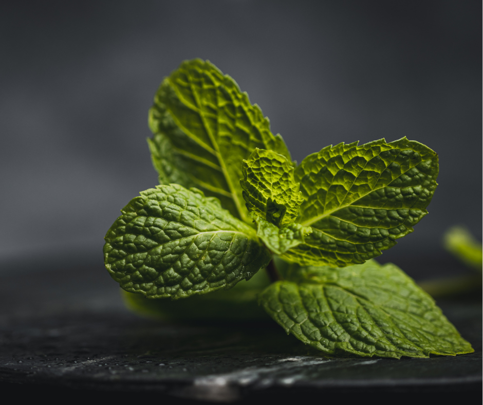 Proteīna pulveris Mojito Näno Supps (875gr.)