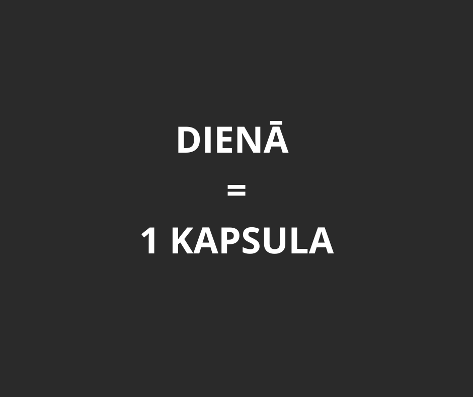 RHODIOLA ROSEA 90 kapsulas
