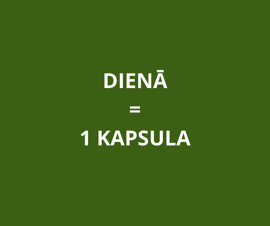 CHLORELLA 90 capsules