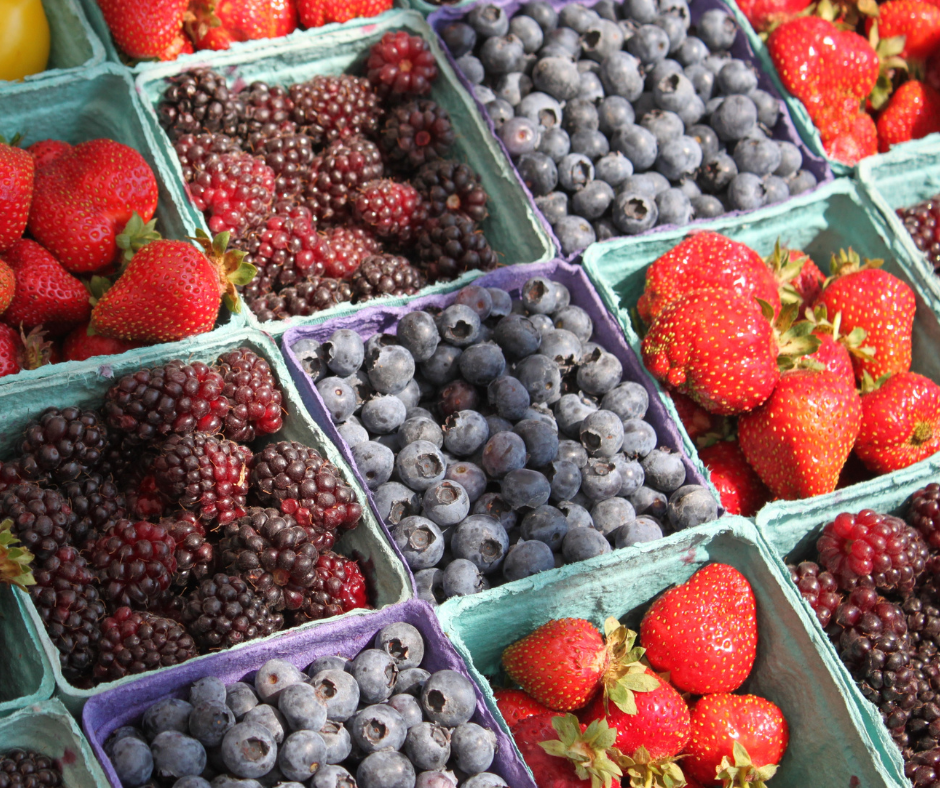 Proteīna pulveris Berry Mix Näno Supps (875gr.)