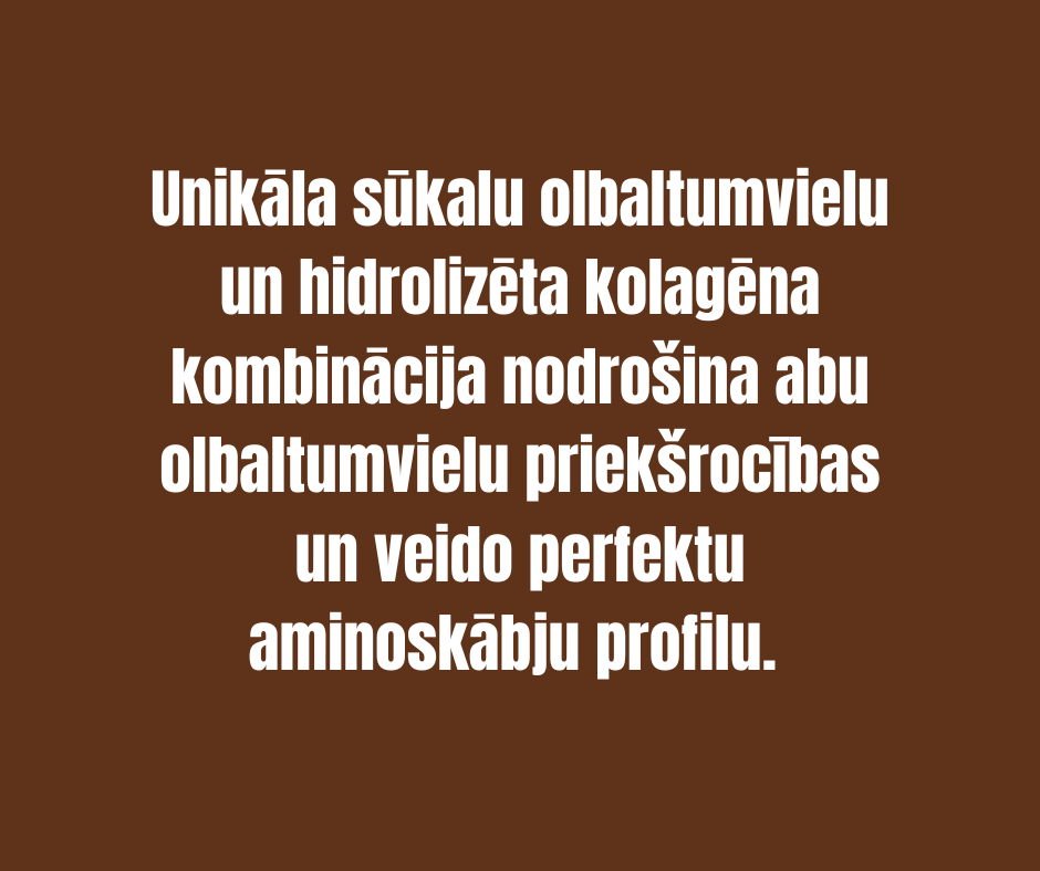 SŪKALU PROTEĪNS + KOLAGĒNS ICONFIT, ŠOKOLĀDES 1kg