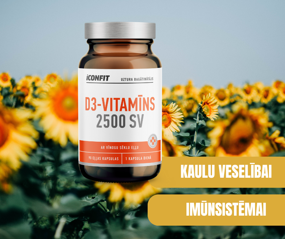 D3 VITAMĪNS 2500SV 90 eļļas kapsulas