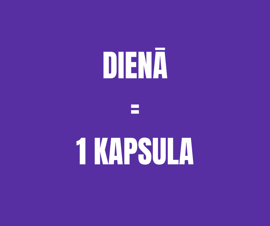 ASHWAGANDA ICONFIT 90 kapsulas