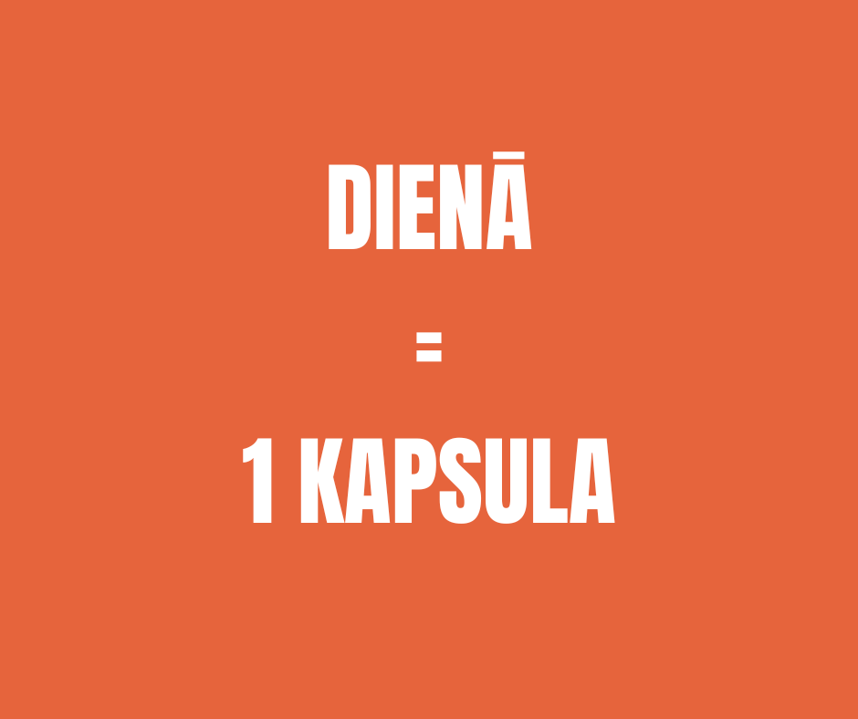 B-VITAMĪNU KOMPLEKSS ICONFIT 90 kapsulas