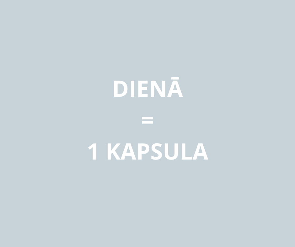 L-TEANĪNS 90 kapsulas