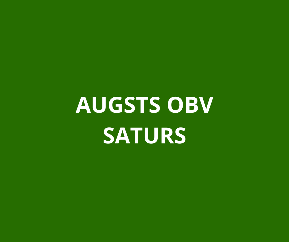 Proteīna čipsi Sour Cream & Onion  NänoSupps