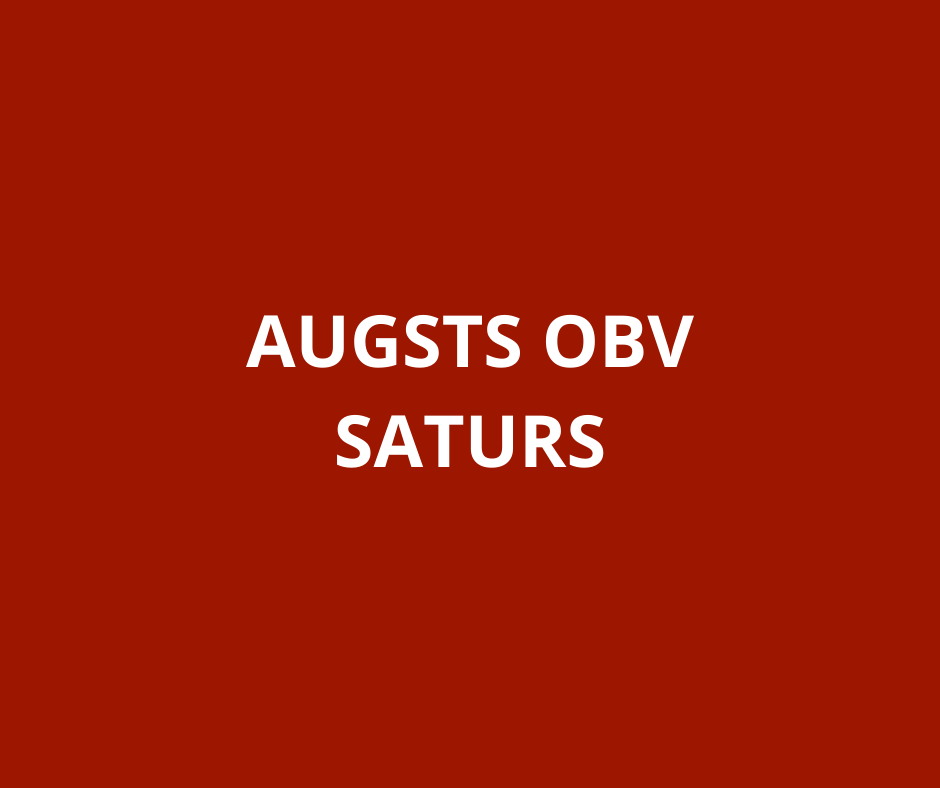 Proteīna čipsi Barbecue NänoSupps