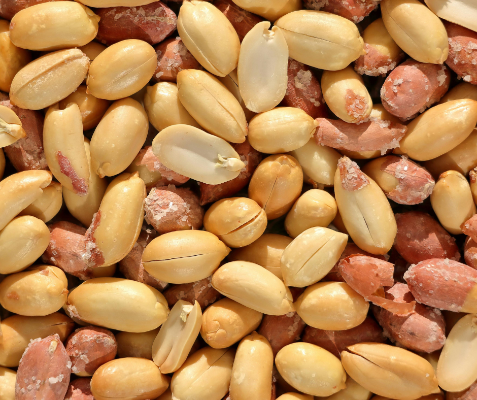 PROTEĪNA PULVERIS-MALTĪTES AIZVIETOTĀJS OH!GOOD ŠOKOLĀDE/ZEMESRIEKSTU SVIESTS 1,5kg