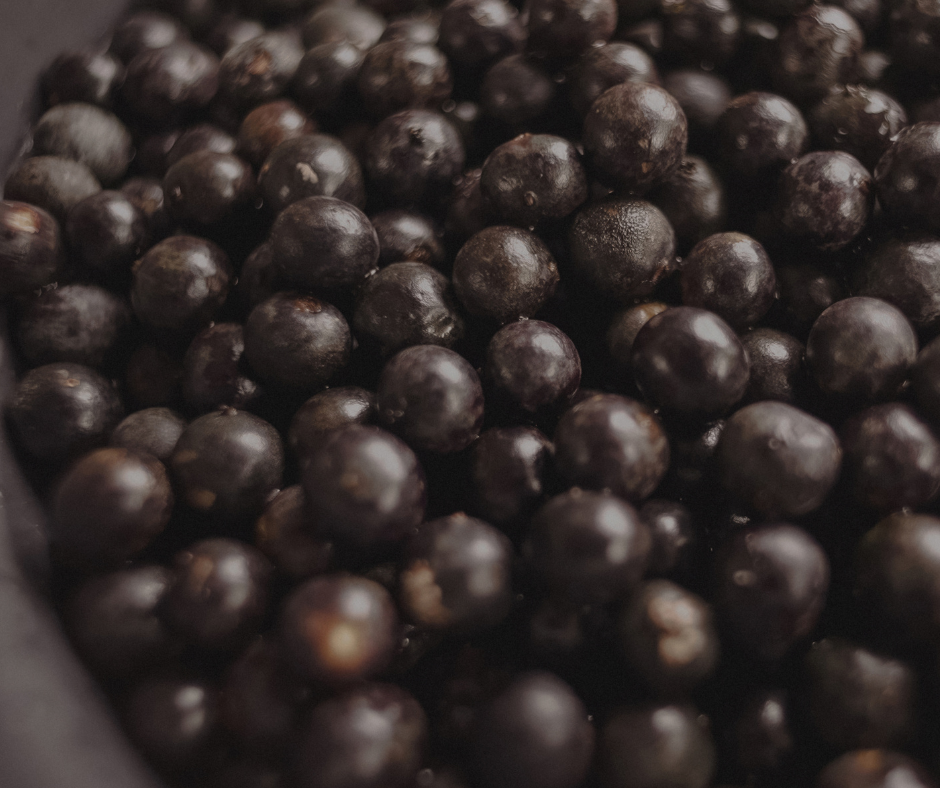 Maisījums dzērienu pagatavošanai BOLERO asaī oga (12x9gr)