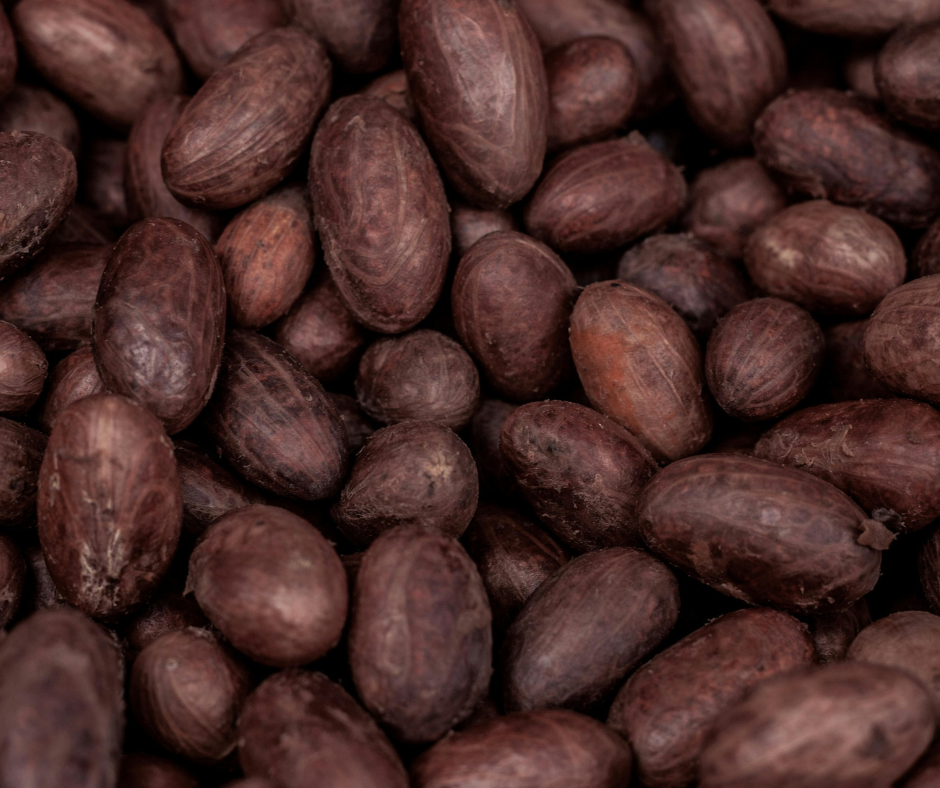Proteīna batoniņi Cacao & Almond The Beginnings (20x40gr.)