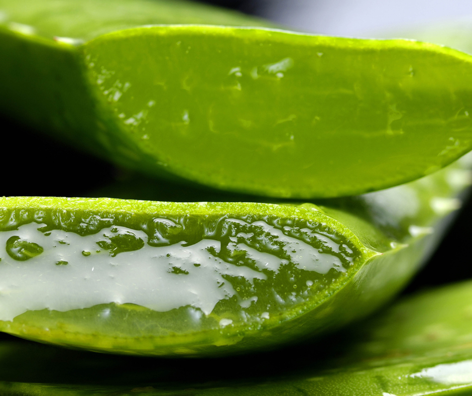 Maisījums dzērienu pagatavošanai BOLERO aloe vera (12x9gr)