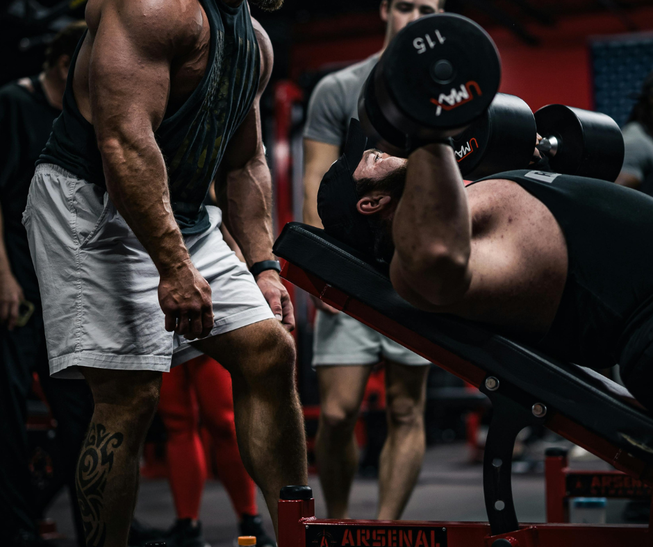 ŠEIKERIS LITE ICONFIT, MELNS 800ml