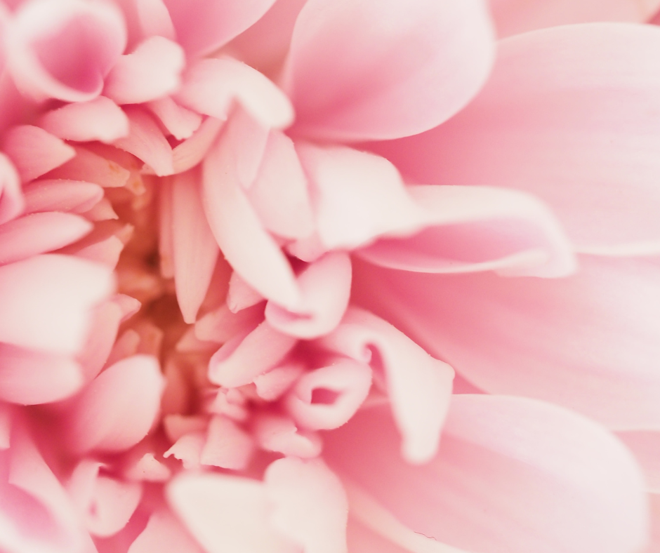 SIEVIETES SKAISTUMA KOMPLEKTS ICONFIT