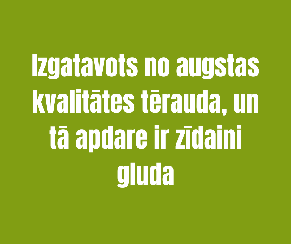 NERŪSĒJOŠĀ TĒRAUDA ŠEIKERIS REFORCE ICONFIT, MELNS 800ml