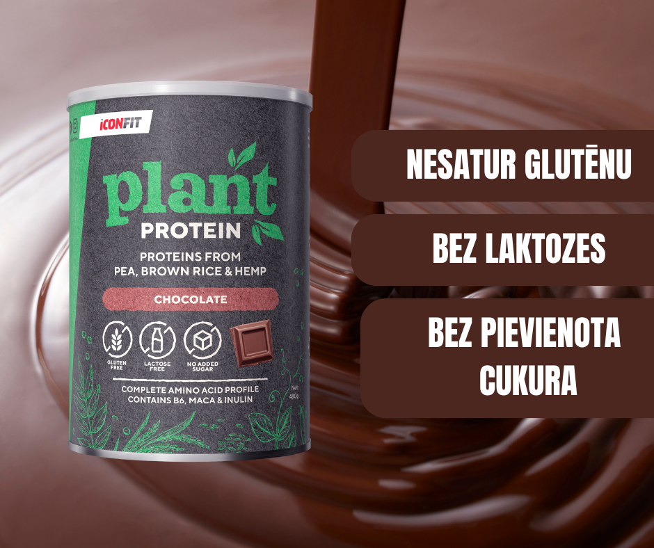 AUGU PROTEĪNA PULVERIS ICONFIT ŠOKOLĀDE 480gr.