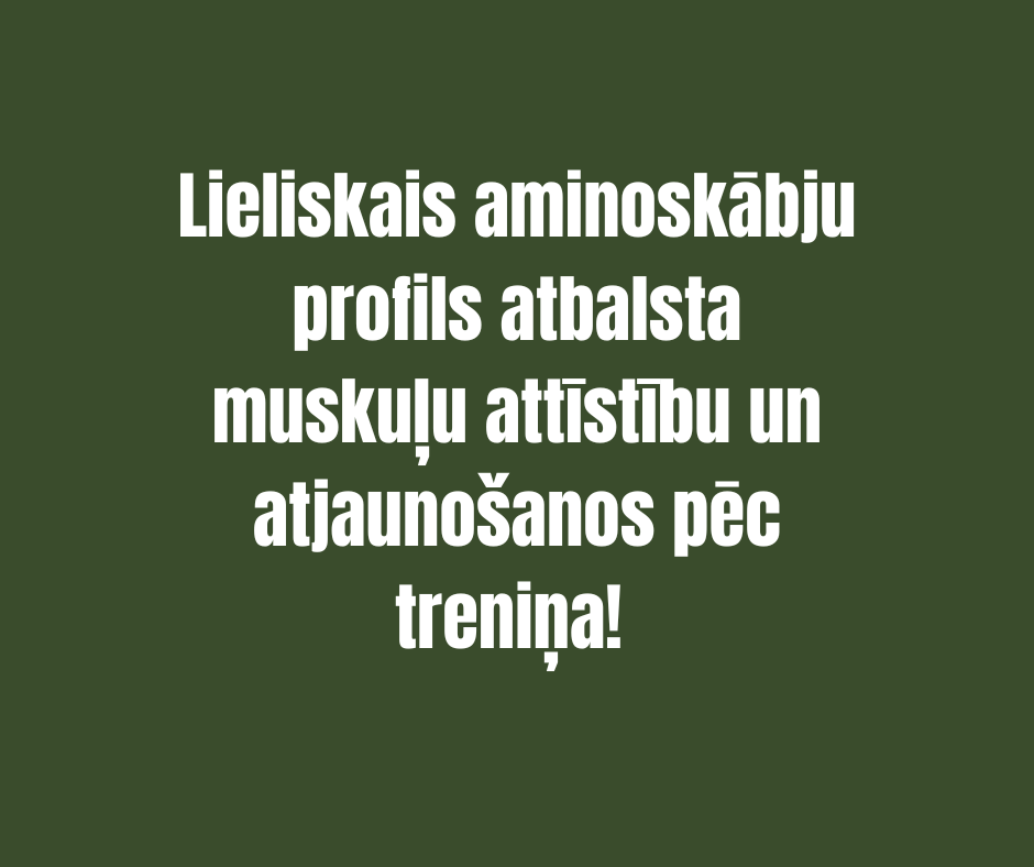 SŪKALU PROTEĪNS 80 ICONFIT, ŠOKOLĀDE & MINT 1kg