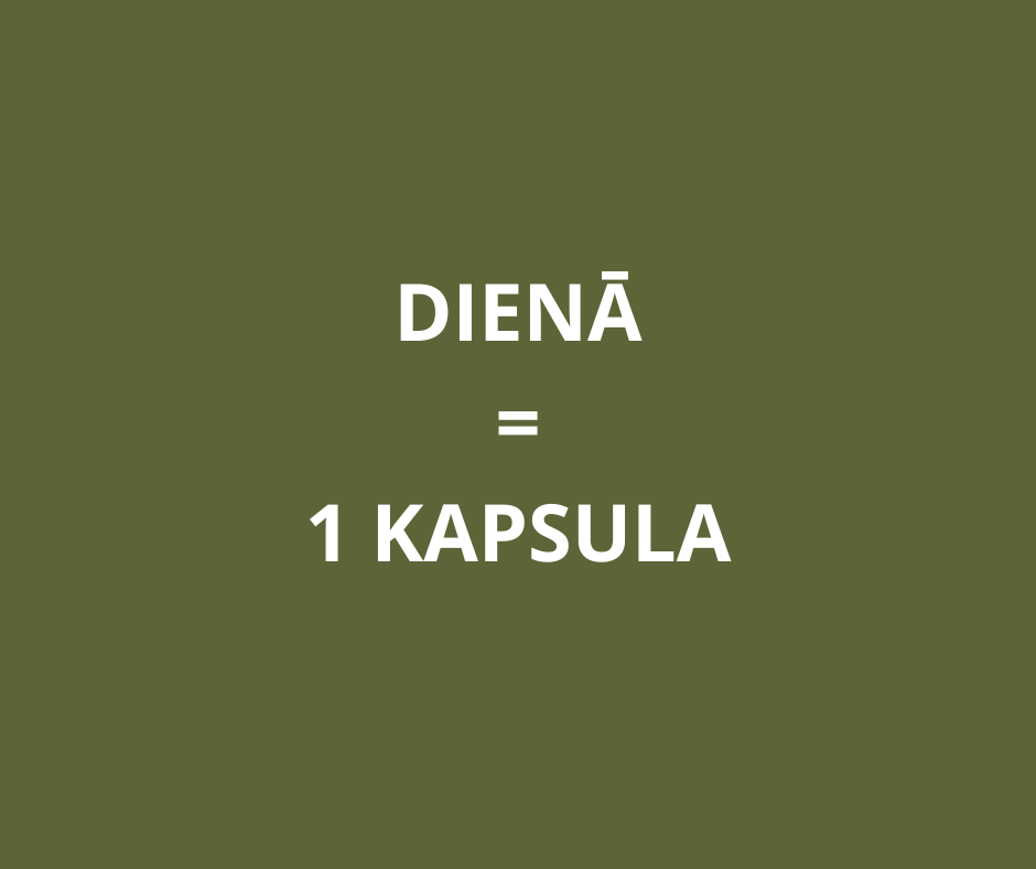 HIALAURONSKĀBE 100mg. 60 kapsulas