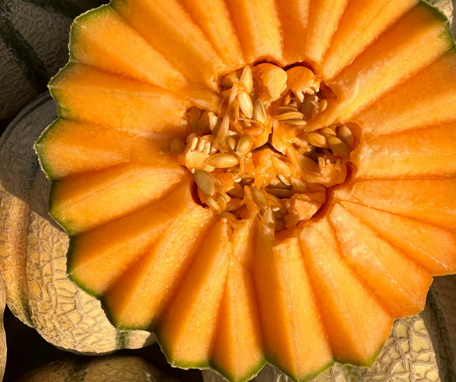 Maisījums dzērienu pagatavošanai BOLERO medus melone (12x9gr)