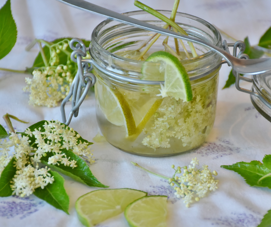 Maisījums dzērienu pagatavošanai BOLERO citrona-plūškoka ziedu zaļā ledus tēja (12x8gr)