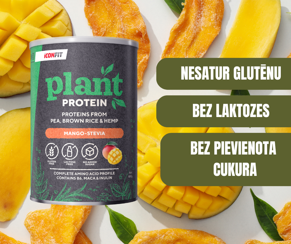 AUGU PROTEĪNA PULVERIS ICONFIT MANGO-STĒVIJA 480gr.