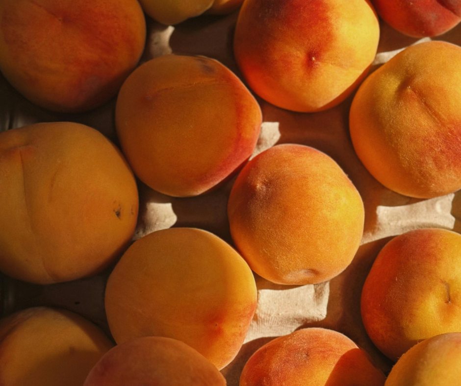 Maisījums dzērienu pagatavošanai BOLERO persiku ledus tēja (12x8gr)