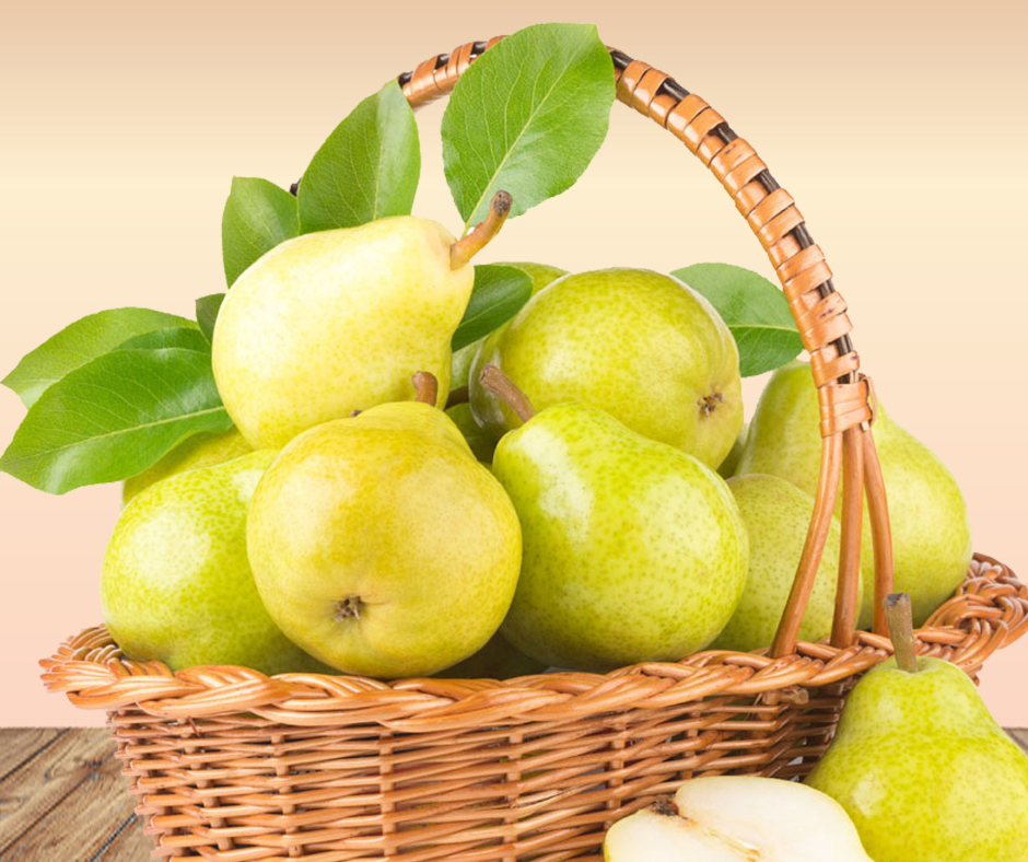 Proteīna piena kokteilis Pear & Vanilla ProPud (8x300ml.)