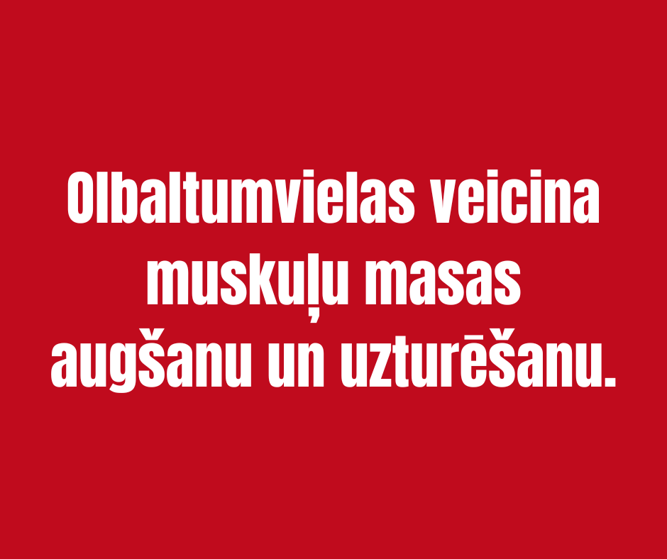 1 + 1 ZEMESRIEKSTU SVIESTA SŪKALU PROTEĪNS 80 ICONFIT 1kg + 1kg