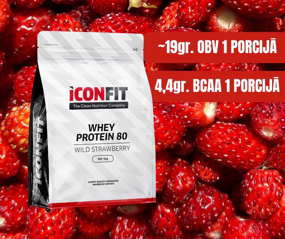 SŪKALU PROTEĪNS 80 ICONFIT, MEŽA ZEMEŅU 1kg